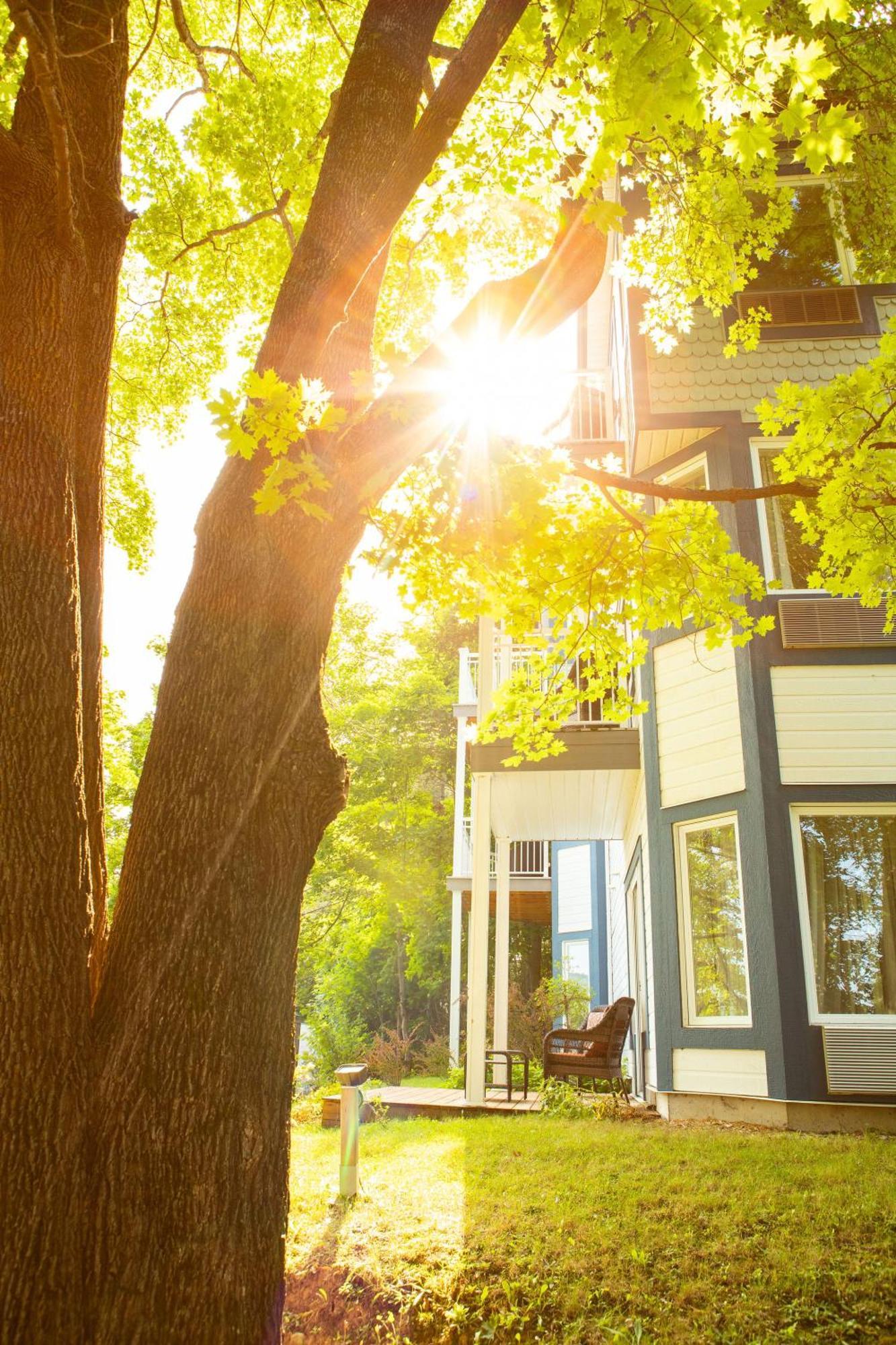 Auberge Sous Les Arbres Gaspé Exterior foto